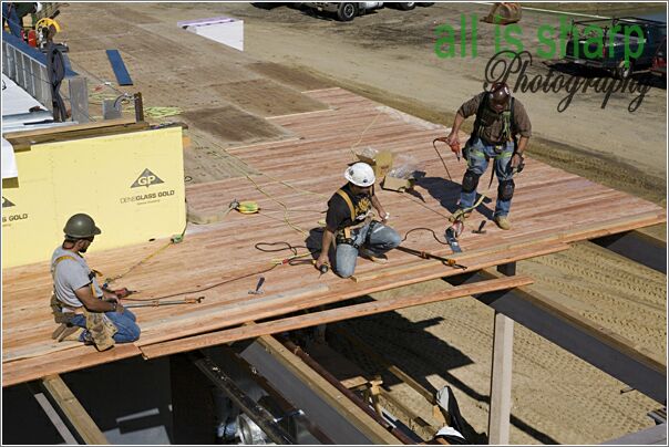 Framing & Finishing 019